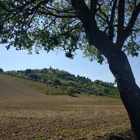 Appartamento Casa Ghibellina